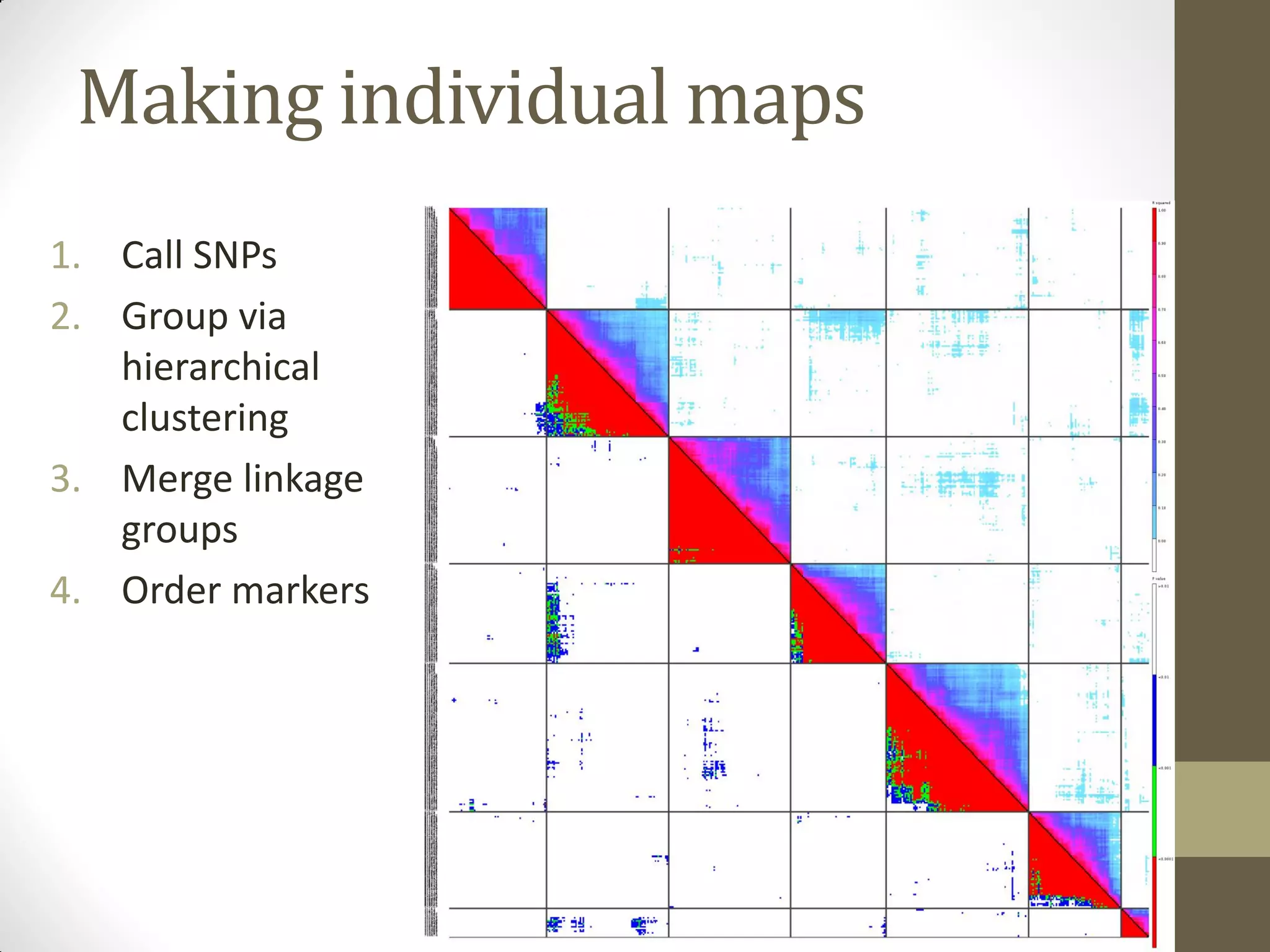1. Call SNPs
2. Group via
hierarchical
clustering
3. Merge linkage
groups
4. Order markers
Making individual maps
 