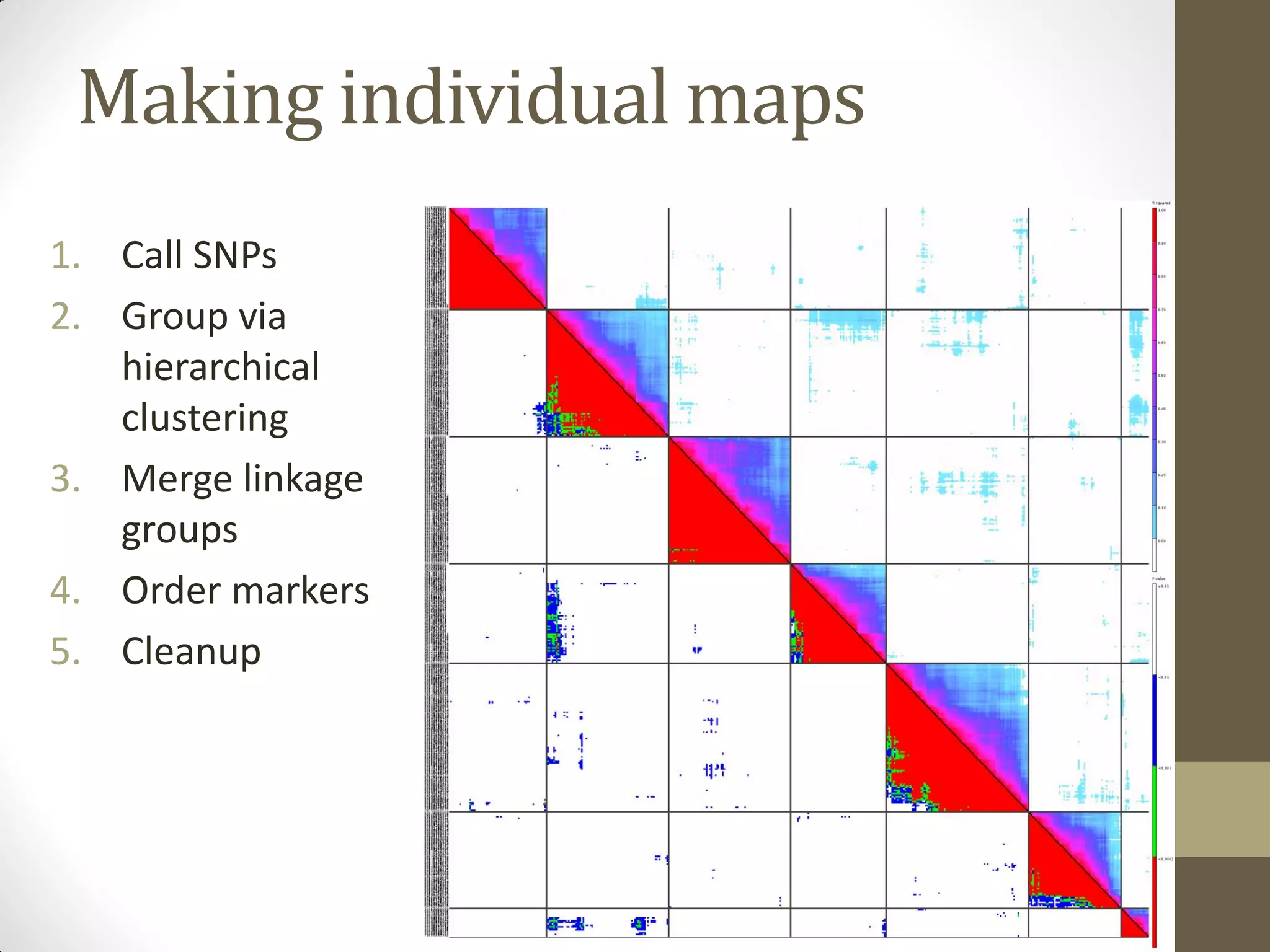 1. Call SNPs
2. Group via
hierarchical
clustering
3. Merge linkage
groups
4. Order markers
5. Cleanup
Making individual maps
 