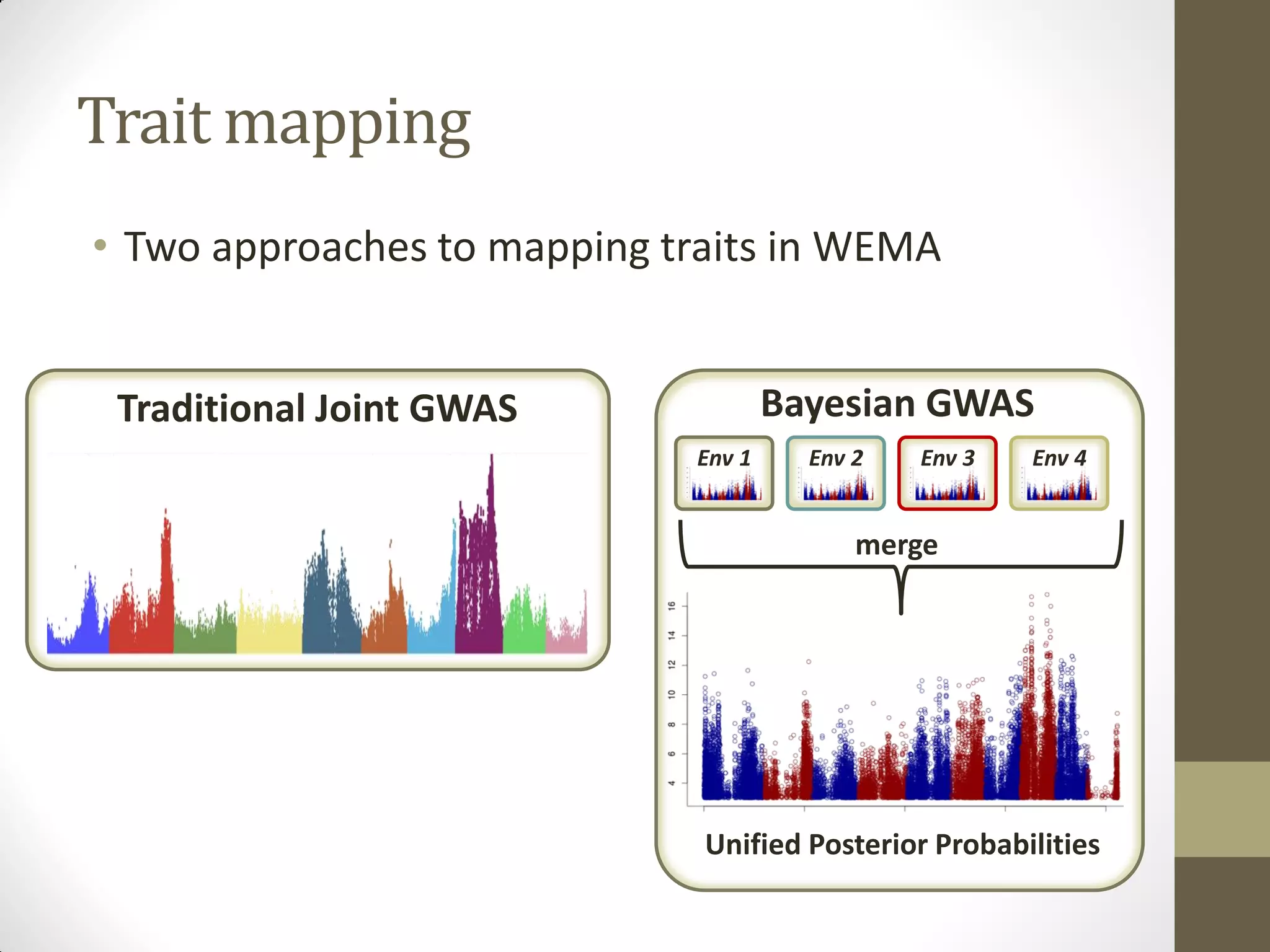 • Two approaches to mapping traits in WEMA
Trait mapping
Env 3 Env 4Env 2Env 1
Unified Posterior Probabilities
Bayesian GWASTraditional Joint GWAS
merge
 