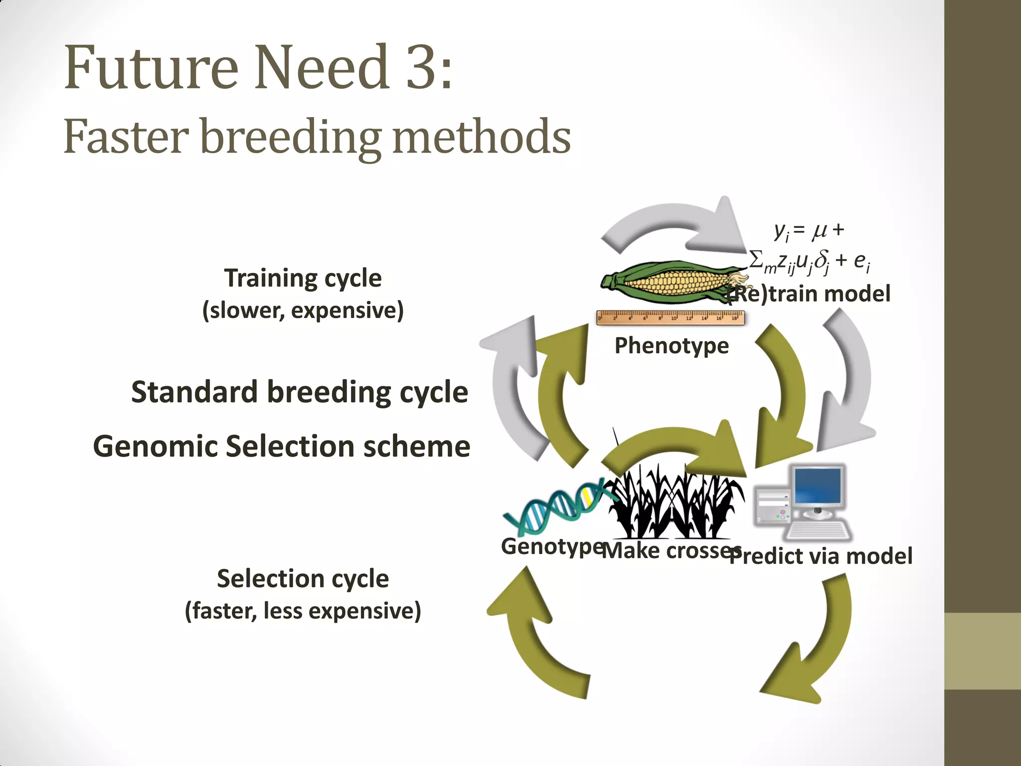 Make crosses
Phenotype
yi = m +
Smzijujdj + ei
(Re)train model
Predict via modelGenotype
Standard breeding cycle
Selection cycle
(faster, less expensive)
Training cycle
(slower, expensive)
Future Need 3:
Faster breeding methods
Genomic Selection scheme
 