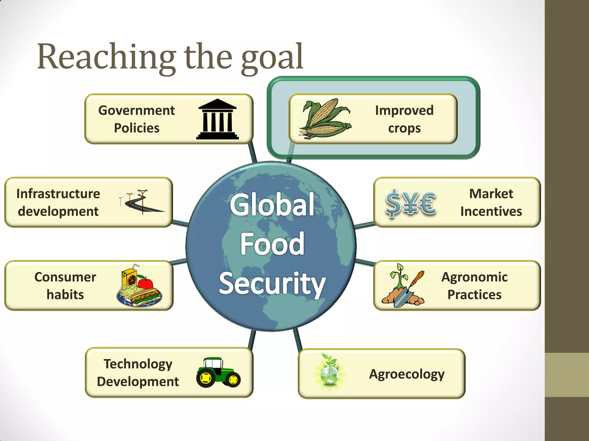 Reaching the goal
Improved
crops
Government
Policies
Agronomic
Practices
Infrastructure
development
Technology
Development
Agroecology
Consumer
habits
Market
Incentives
 