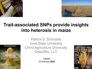 Trait-associated SNPs provide insights
into heterosis in maize
Patrick S. Schnable
Iowa State University
China Agriculture University
Data2Bio, LLC
ICRISAT
19 February 2015
 