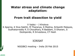 Water stress and climate change
adaptation:
From trait dissection to yield
V Vadez – J Kholova
K Aparna, K Siva Sakhti, M Tharanya, S Medina, Srikanth Malayee,
Sudhakarreddy P, S Choudhary, R Baddam, S Dharani, S
Deshpande, R Srivastava, CT Hash
ICRISAT
NGGIBCI meeting – India 20 Feb 2015
 