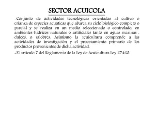 SECTOR ACUICOLA
-Conjunto de actividades tecnológicas orientadas al cultivo o
crianza de especies acuáticas que abarca su ciclo biológico completo o
parcial y se realiza en un medio seleccionado o controlado, en
ambientes hídricos naturales o artificiales tanto en aguas marinas ,
dulces, o salobres. Asimismo la acuicultura comprende a las
actividades de investigación y el procesamiento primario de los
productos provenientes de dicha actividad.
-El artículo 7 del Reglamento de la Ley de Acuicultura Ley 27460.
 