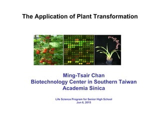 The Application of Plant Transformation
Ming-Tsair Chan
Biotechnology Center in Southern Taiwan
Academia Sinica
Life Science Program for Senior High School
Jun 6, 2015
 