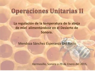 Mendoza Sánchez Esperanza Del Rocío
Hermosillo, Sonora a 29 de Enero del 2015.
La regulación de la temperatura de la abeja
de miel alimentándose en el Desierto de
Sonora.
 