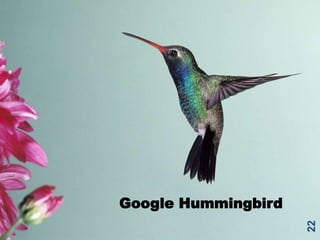 Google Hummingbird
22
 
