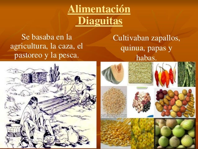 2015 3b Pueblos Originarios