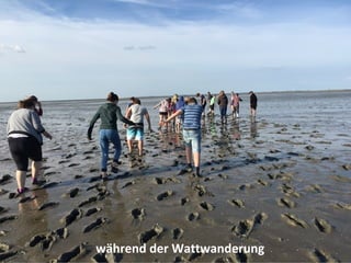 während der Wattwanderung
 