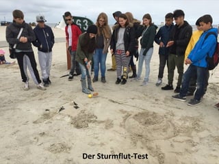 Der Sturmflut-Test
 