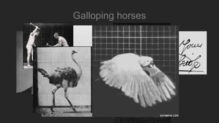 Galloping horses
 