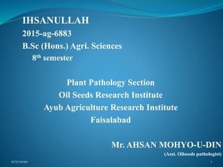 IHSANULLAH
2015-ag-6883
B.Sc (Hons.) Agri. Sciences
8th semester
Plant Pathology Section
Oil Seeds Research Institute
Ayub Agriculture Research Institute
Faisalabad
Mr. AHSAN MOHYO-U-DIN
(Asst. Oilseeds pathologist)
12/17/2020 1
 