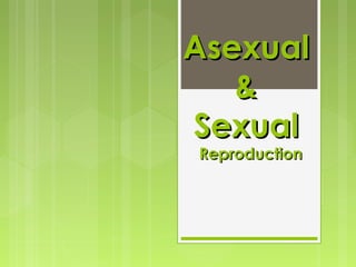 AsexualAsexual
&&
SexualSexual
ReproductionReproduction
 