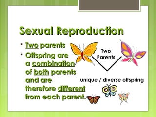 Sexual ReproductionSexual Reproduction
 TwoTwo parentsparents
 Offspring areOffspring are
aa combinationcombination
ofof bothboth parentsparents
and areand are
thereforetherefore differentdifferent
from each parent.from each parent.
unique / diverse offspring
Two
Parents
 