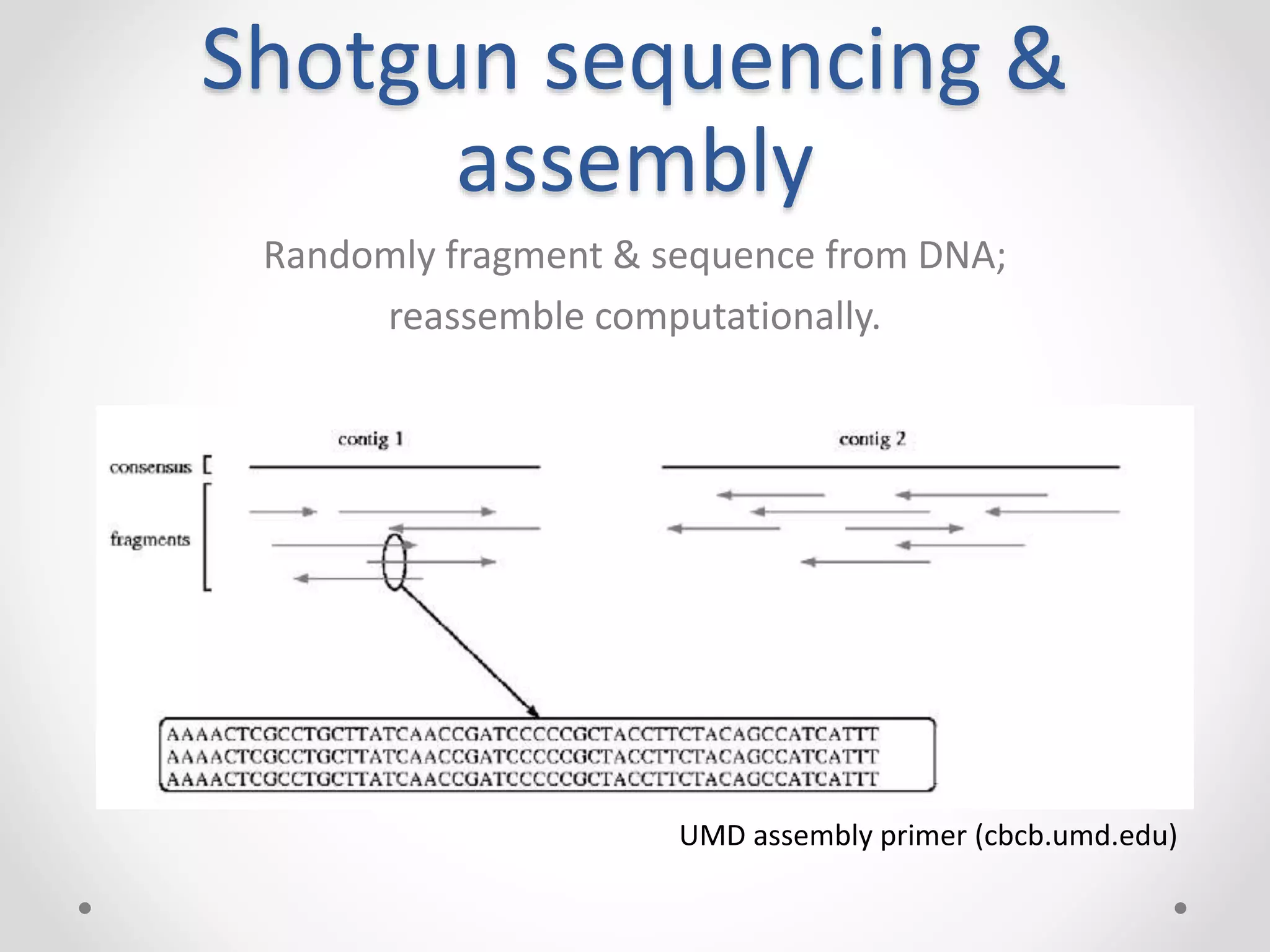 Shotgun sequencing &
assembly
Randomly fragment & sequence from DNA;
reassemble computationally.
UMD assembly primer (cbcb.umd.edu)
 