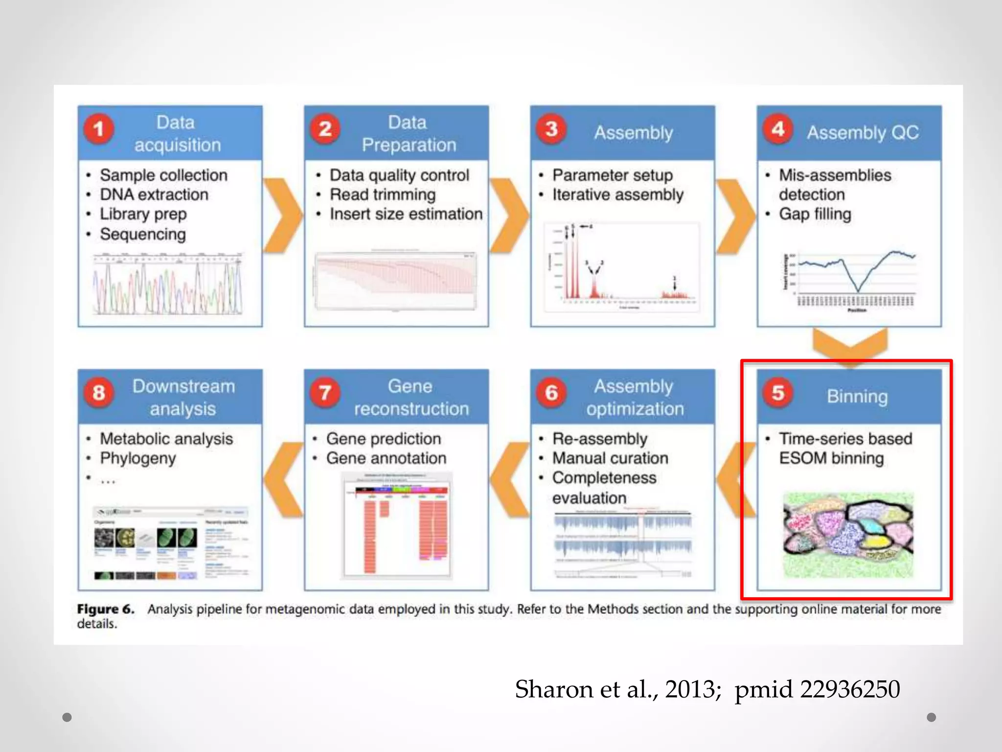 Sharon et al., 2013; pmid 22936250
 