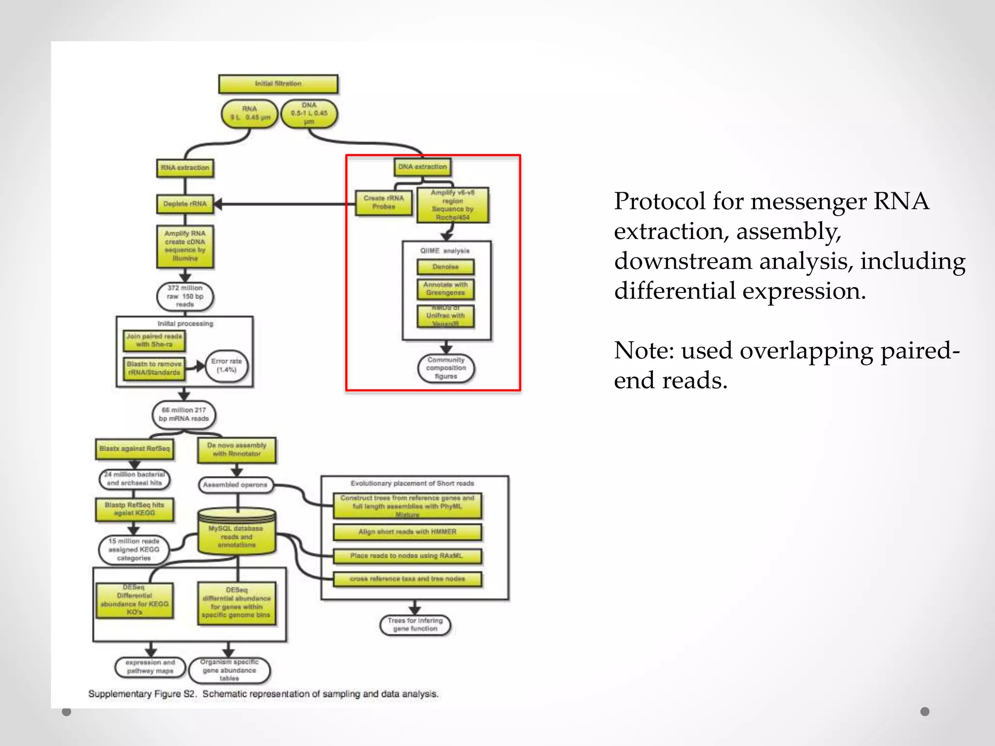 Protocol for messenger RNA
extraction, assembly,
downstream analysis, including
differential expression.
Note: used overlapping paired-
end reads.
 
