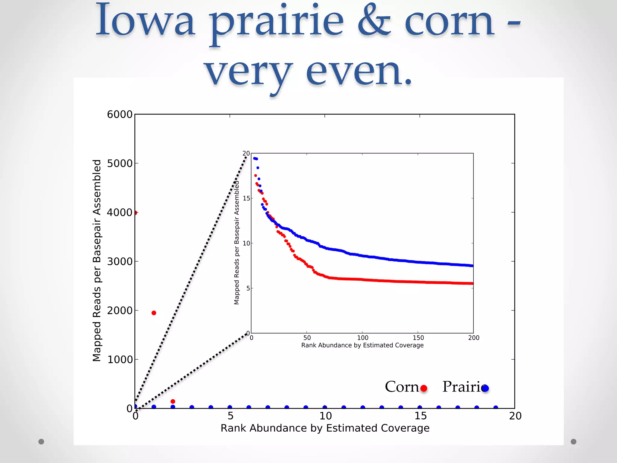 Corn Prairie
Iowa prairie & corn -
very even.
 