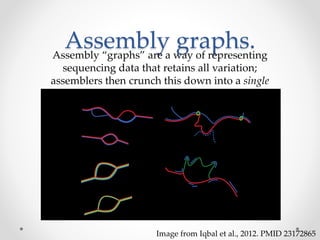 Assembly graphs.Assembly “graphs” are a way of representing
sequencing data that retains all variation;
assemblers then crunch this down into a single
sequence.
Image from Iqbal et al., 2012. PMID 23172865
 
