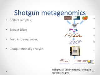 Shotgun metagenomics
• Collect samples;
• Extract DNA;
• Feed into sequencer;
• Computationally analyze.
Wikipedia: Environmental shotgun
sequencing.png
 