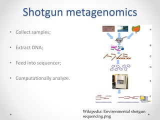 Shotgun metagenomics
• Collect samples;
• Extract DNA;
• Feed into sequencer;
• Computationally analyze.
Wikipedia: Environmental shotgun
sequencing.png
 