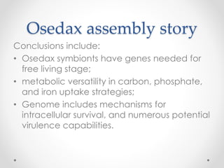Osedax assembly story
Conclusions include:
• Osedax symbionts have genes needed for
free living stage;
• metabolic versatility in carbon, phosphate,
and iron uptake strategies;
• Genome includes mechanisms for
intracellular survival, and numerous potential
virulence capabilities.
 