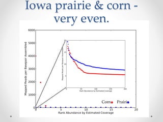Corn Prairie
Iowa prairie & corn -
very even.
 