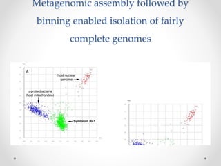 Osedax assembly story
Conclusions include:
• Osedax symbionts have genes needed for
free living stage;
• metabolic versati...
