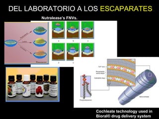 Nutralease’s FNVs.
Cochleate technology used in
Bioral® drug delivery system
DEL LABORATORIO A LOS ESCAPARATES
 