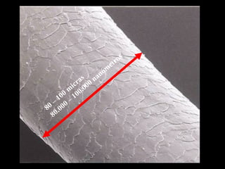 80 – 100 m
icras
80.000 – 100.000 nanóm
etros
 