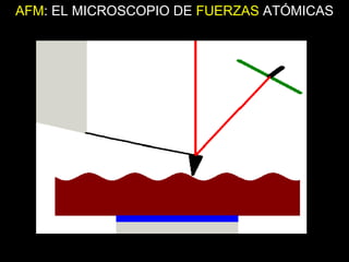 AFM: EL MICROSCOPIO DE FUERZAS ATÓMICAS
 