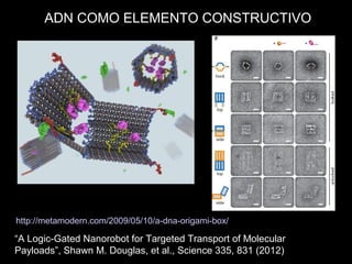 “A Logic-Gated Nanorobot for Targeted Transport of Molecular
Payloads”, Shawn M. Douglas, et al., Science 335, 831 (2012)
http://metamodern.com/2009/05/10/a-dna-origami-box/
ADN COMO ELEMENTO CONSTRUCTIVO
 