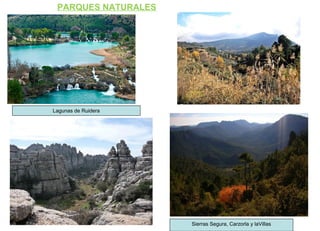 PARQUES NATURALES
Lagunas de Ruidera
Sierras Segura, Carzorla y laVillas
 
