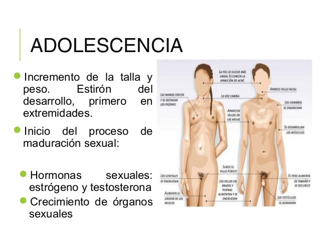 La cúrcuma el aumento del pecho