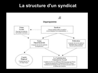 La structure d'un syndicat
 