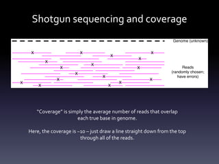 Shotgun sequencing and coverage
“Coverage” is simply the average number of reads that overlap
each true base in genome.
Here, the coverage is ~10 – just draw a line straight down from the top
through all of the reads.
 