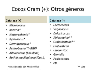 Alloiococcus Orientación para la identificación bacteriana y el procesamiento de ...