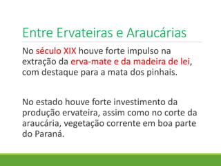 Entre Ervateiras e Araucárias
No século XIX houve forte impulso na
extração da erva-mate e da madeira de lei,
com destaque para a mata dos pinhais.
No estado houve forte investimento da
produção ervateira, assim como no corte da
araucária, vegetação corrente em boa parte
do Paraná.
 