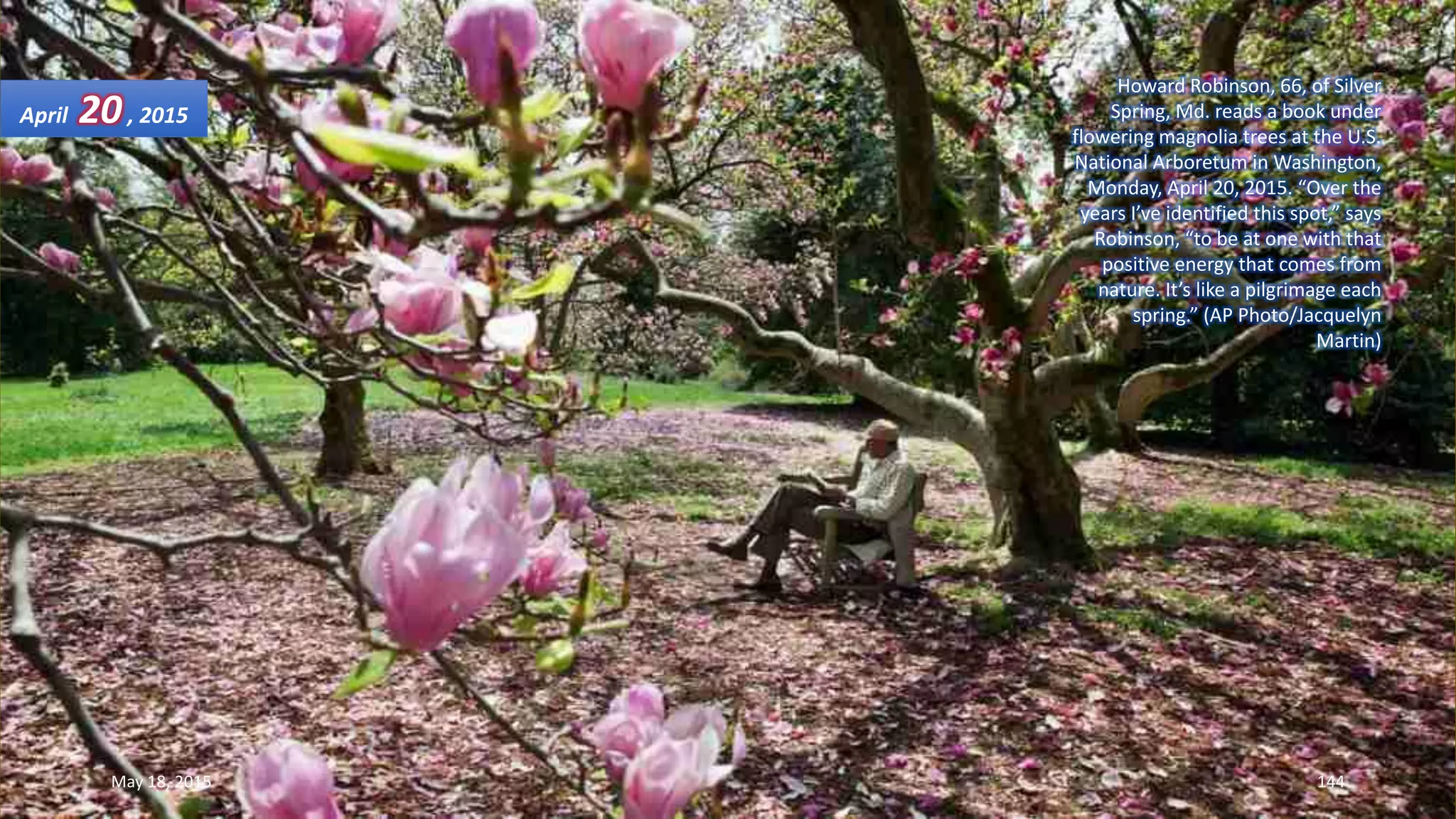Howard Robinson, 66, of Silver
Spring, Md. reads a book under
flowering magnolia trees at the U.S.
National Arboretum in Washington,
Monday, April 20, 2015. “Over the
years I’ve identified this spot,” says
Robinson, “to be at one with that
positive energy that comes from
nature. It’s like a pilgrimage each
spring.” (AP Photo/Jacquelyn
Martin)
April 20, 2015
May 18, 2015 144
 