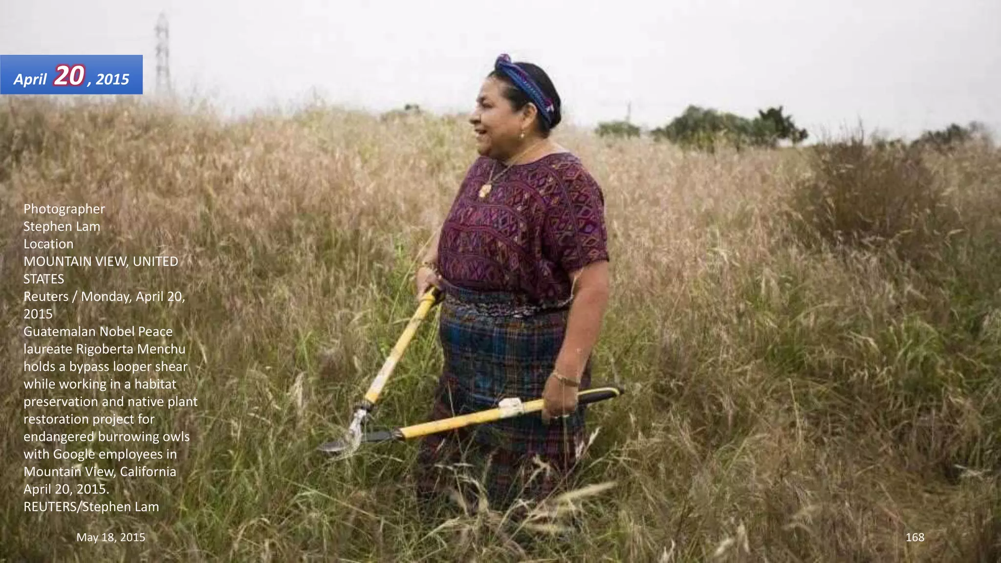 Photographer
Stephen Lam
Location
MOUNTAIN VIEW, UNITED
STATES
Reuters / Monday, April 20,
2015
Guatemalan Nobel Peace
laureate Rigoberta Menchu
holds a bypass looper shear
while working in a habitat
preservation and native plant
restoration project for
endangered burrowing owls
with Google employees in
Mountain View, California
April 20, 2015.
REUTERS/Stephen Lam
April 20, 2015
May 18, 2015 168
 