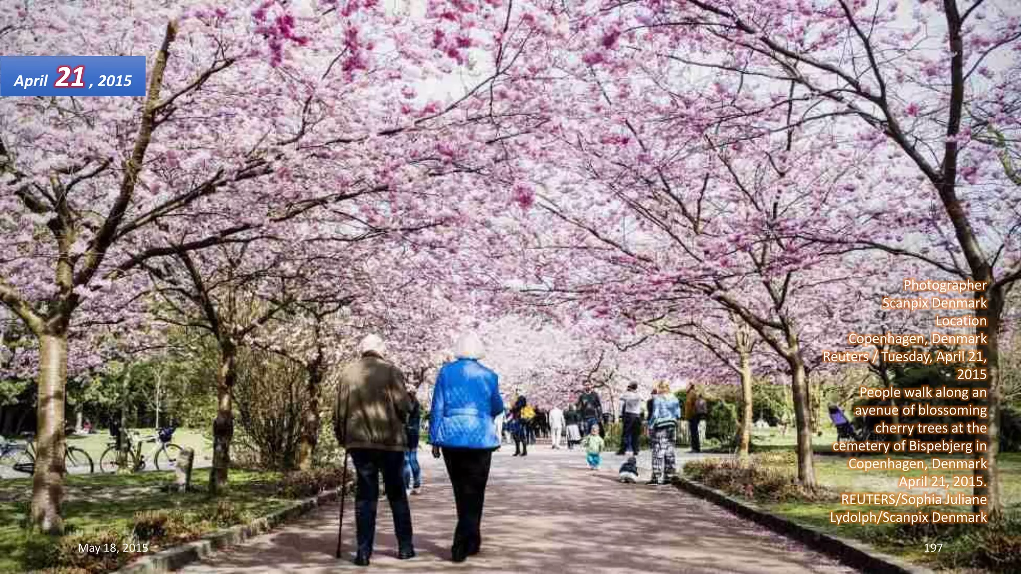 Photographer
Scanpix Denmark
Location
Copenhagen, Denmark
Reuters / Tuesday, April 21,
2015
People walk along an
avenue of blossoming
cherry trees at the
cemetery of Bispebjerg in
Copenhagen, Denmark
April 21, 2015.
REUTERS/Sophia Juliane
Lydolph/Scanpix Denmark
April 21, 2015
May 18, 2015 197
 