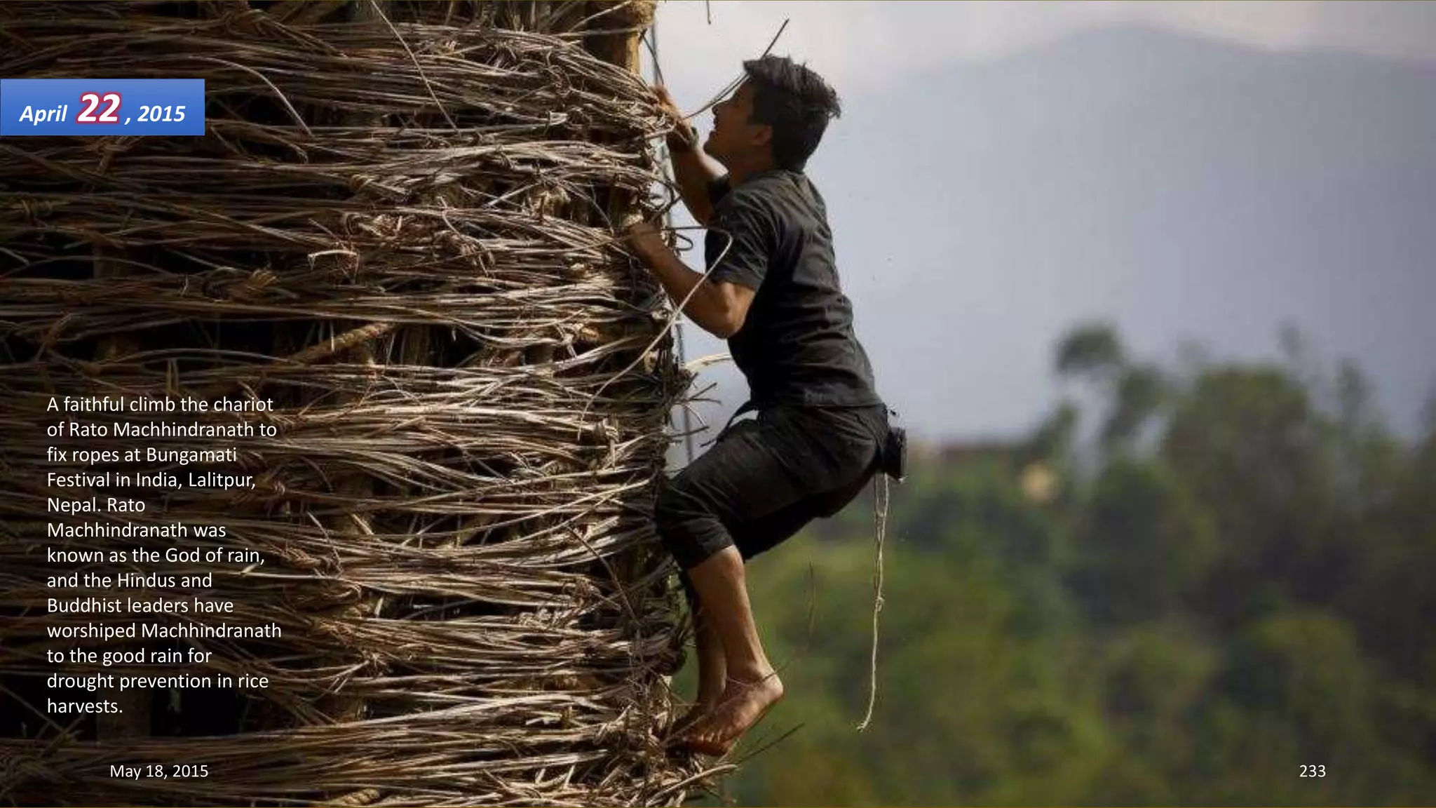 A faithful climb the chariot
of Rato Machhindranath to
fix ropes at Bungamati
Festival in India, Lalitpur,
Nepal. Rato
Machhindranath was
known as the God of rain,
and the Hindus and
Buddhist leaders have
worshiped Machhindranath
to the good rain for
drought prevention in rice
harvests.
April 22, 2015
May 18, 2015 233
 