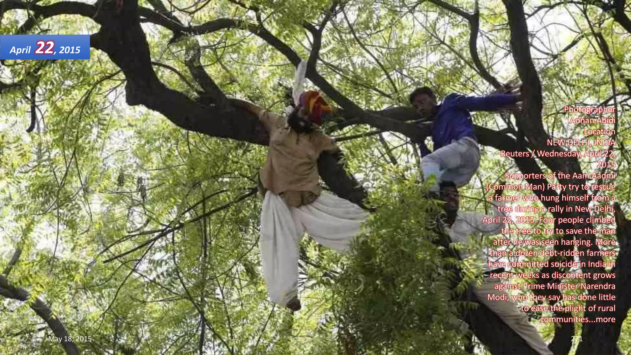 Photographer
Adnan Abidi
Location
NEW DELHI, INDIA
Reuters / Wednesday, April 22,
2015
Supporters of the Aam Aadmi
(Common Man) Party try to rescue
a farmer who hung himself from a
tree during a rally in New Delhi,
April 22, 2015. Four people climbed
the tree to try to save the man
after he was seen hanging. More
than a dozen debt-ridden farmers
have committed suicide in India in
recent weeks as discontent grows
against Prime Minister Narendra
Modi, who they say has done little
to ease the plight of rural
communities...more
April 22, 2015
May 18, 2015 271
 