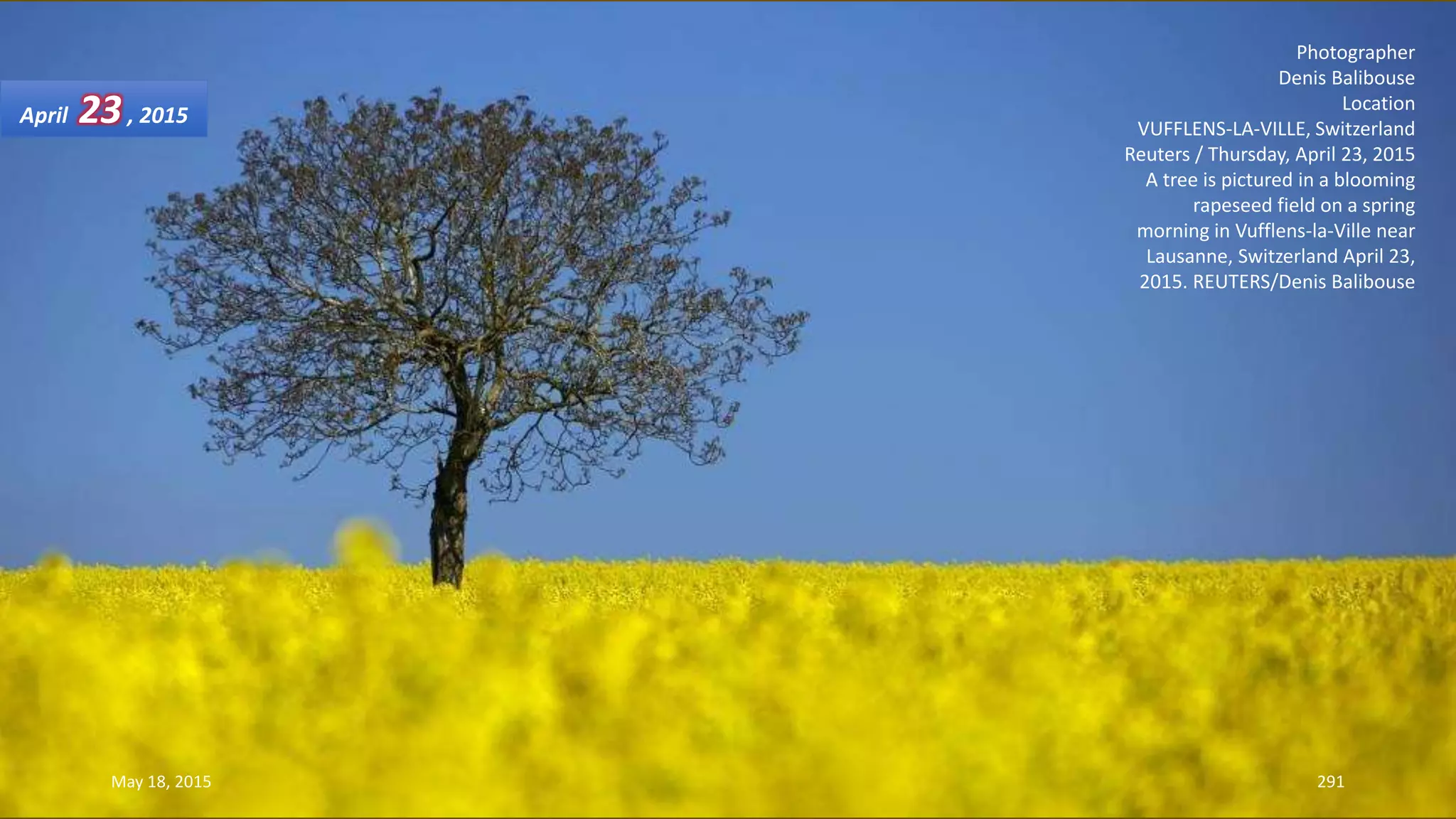 Photographer
Denis Balibouse
Location
VUFFLENS-LA-VILLE, Switzerland
Reuters / Thursday, April 23, 2015
A tree is pictured in a blooming
rapeseed field on a spring
morning in Vufflens-la-Ville near
Lausanne, Switzerland April 23,
2015. REUTERS/Denis Balibouse
April 23, 2015
May 18, 2015 291
 