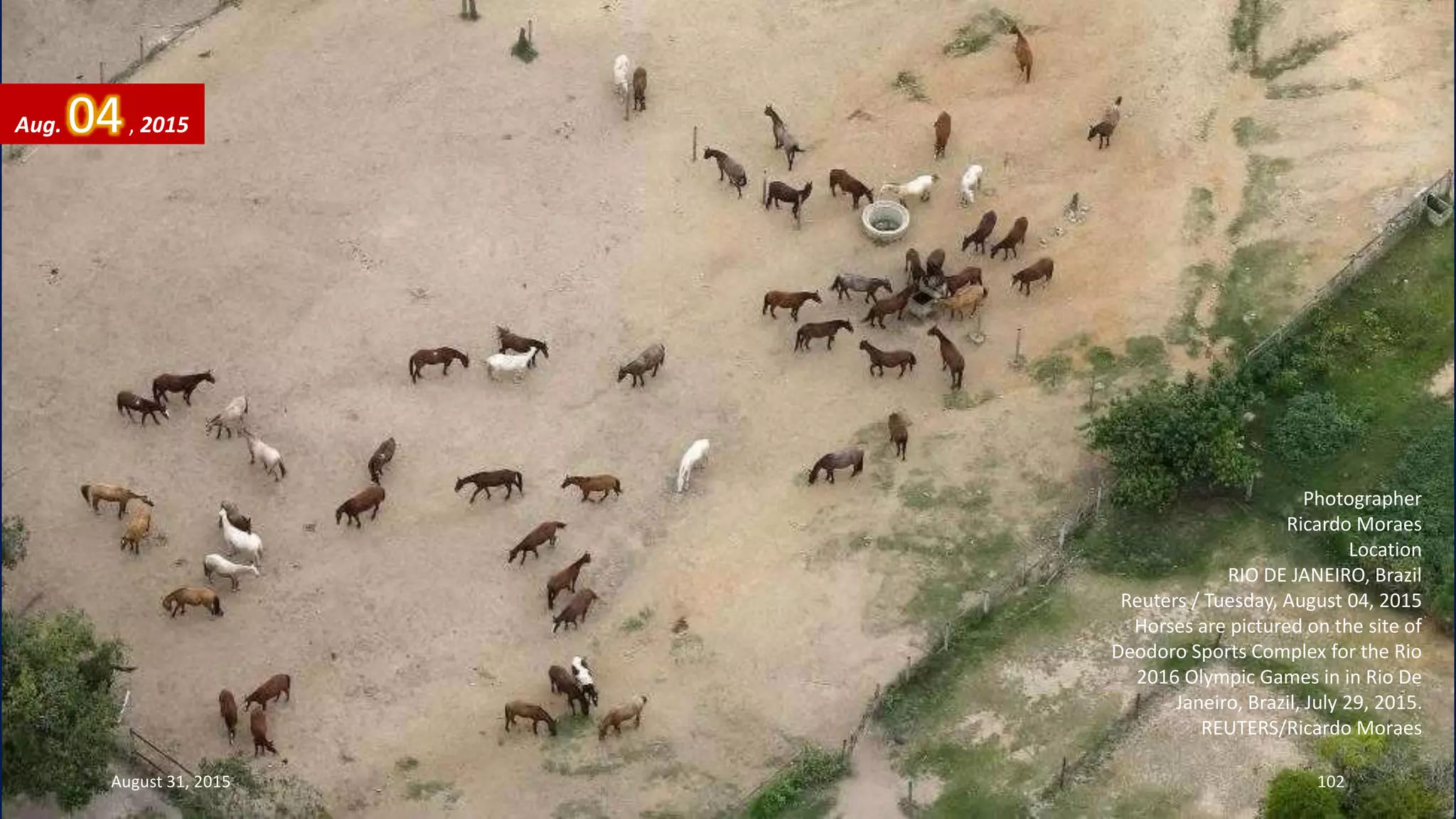 Photographer
Ricardo Moraes
Location
RIO DE JANEIRO, Brazil
Reuters / Tuesday, August 04, 2015
Horses are pictured on the site of
Deodoro Sports Complex for the Rio
2016 Olympic Games in in Rio De
Janeiro, Brazil, July 29, 2015.
REUTERS/Ricardo Moraes
Aug. 04, 2015
August 31, 2015 102
 