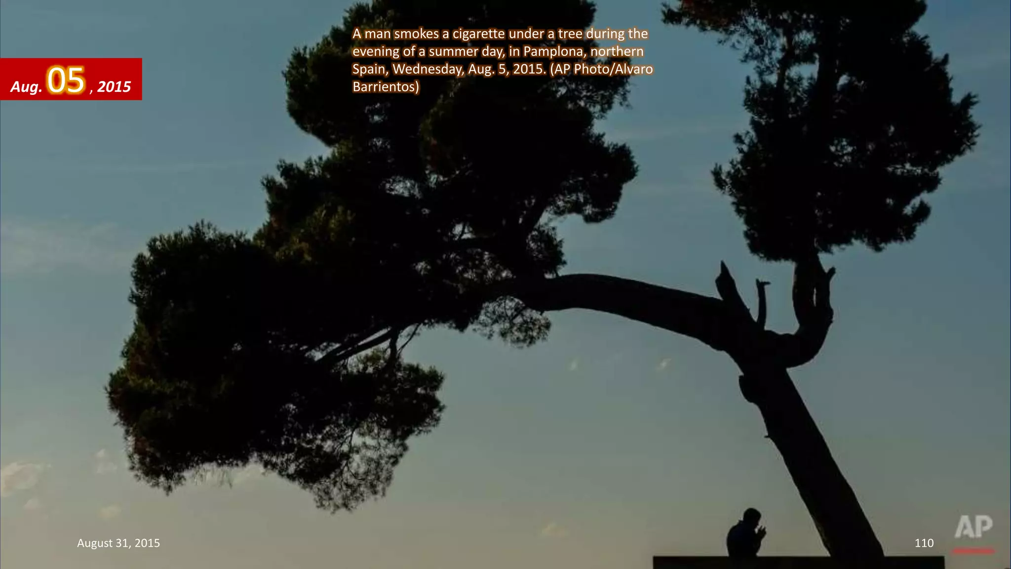 A man smokes a cigarette under a tree during the
evening of a summer day, in Pamplona, northern
Spain, Wednesday, Aug. 5, 2015. (AP Photo/Alvaro
Barrientos)Aug. 05, 2015
August 31, 2015 110
 