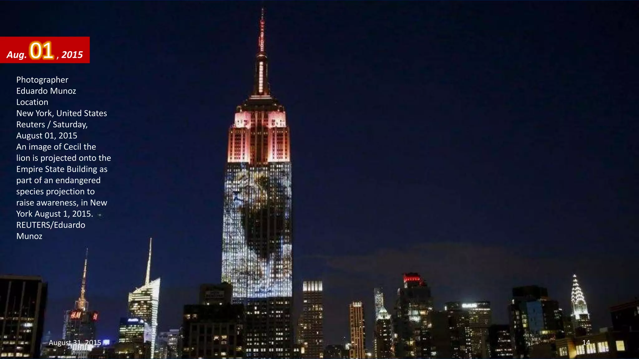 Photographer
Eduardo Munoz
Location
New York, United States
Reuters / Saturday,
August 01, 2015
An image of Cecil the
lion is projected onto the
Empire State Building as
part of an endangered
species projection to
raise awareness, in New
York August 1, 2015.
REUTERS/Eduardo
Munoz
Aug. 01, 2015
August 31, 2015 14
 