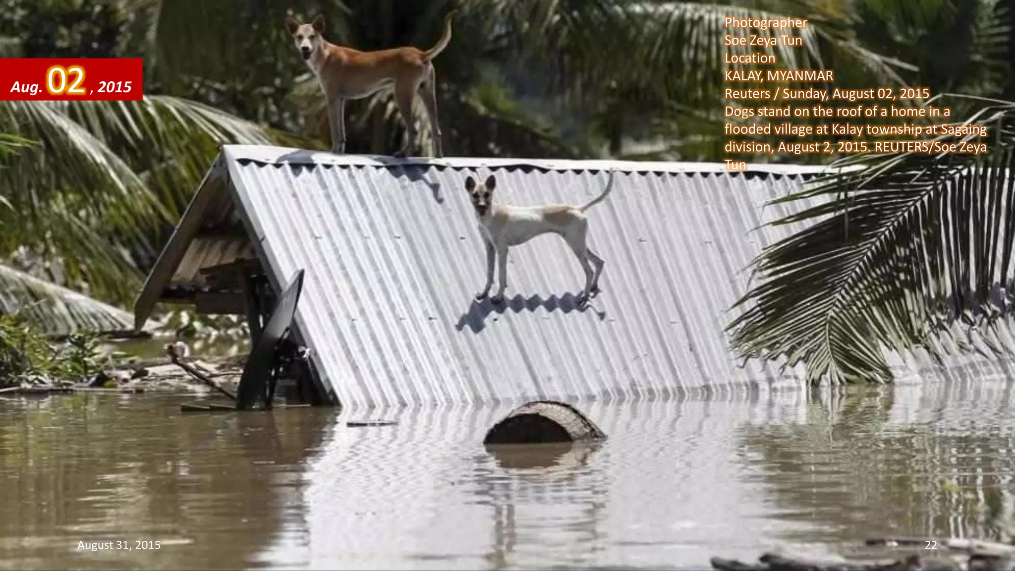 Photographer
Soe Zeya Tun
Location
KALAY, MYANMAR
Reuters / Sunday, August 02, 2015
Dogs stand on the roof of a home in a
flooded village at Kalay township at Sagaing
division, August 2, 2015. REUTERS/Soe Zeya
Tun
Aug. 02, 2015
August 31, 2015 22
 
