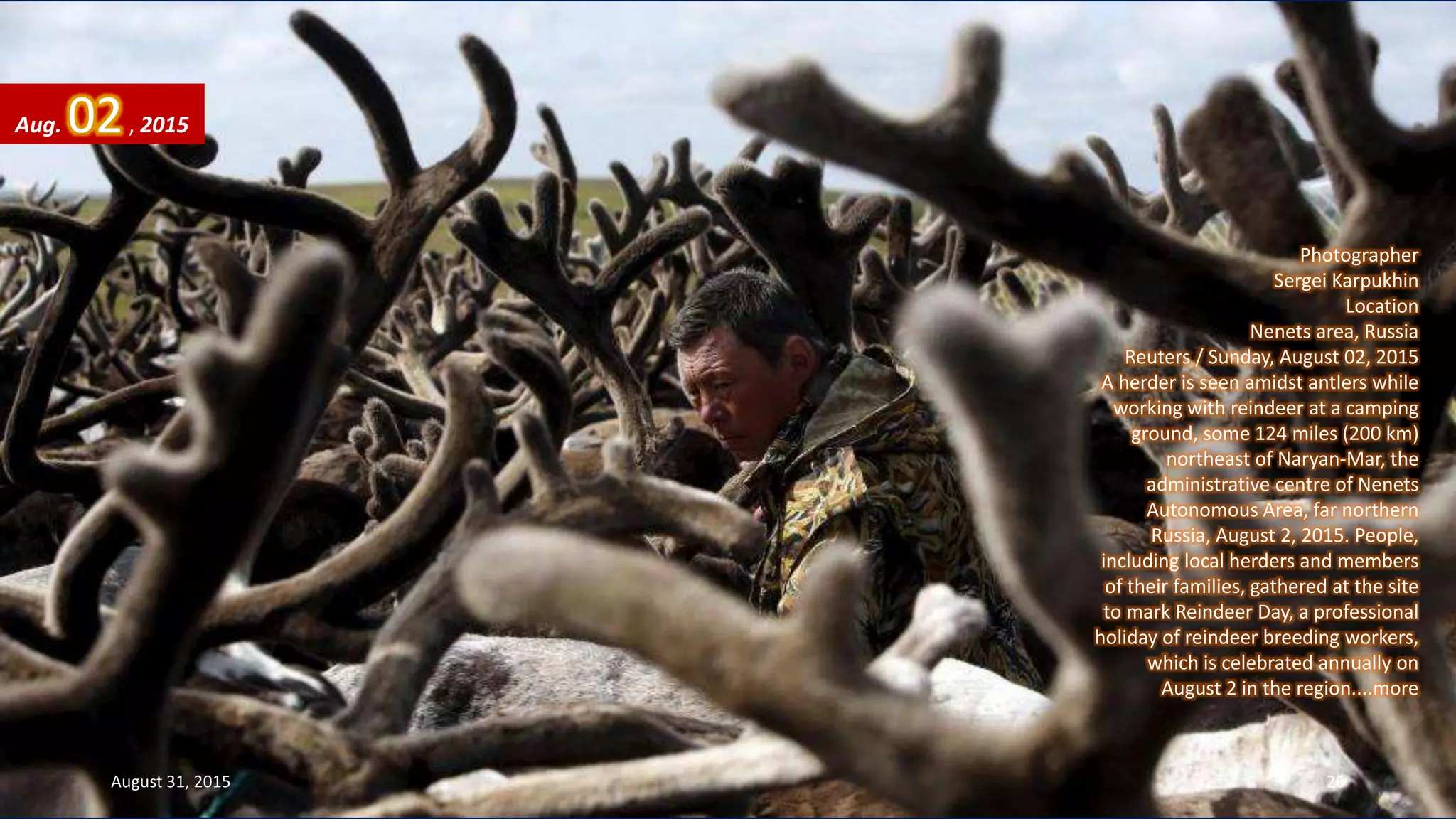 Photographer
Sergei Karpukhin
Location
Nenets area, Russia
Reuters / Sunday, August 02, 2015
A herder is seen amidst antlers while
working with reindeer at a camping
ground, some 124 miles (200 km)
northeast of Naryan-Mar, the
administrative centre of Nenets
Autonomous Area, far northern
Russia, August 2, 2015. People,
including local herders and members
of their families, gathered at the site
to mark Reindeer Day, a professional
holiday of reindeer breeding workers,
which is celebrated annually on
August 2 in the region....more
Aug. 02, 2015
August 31, 2015 26
 