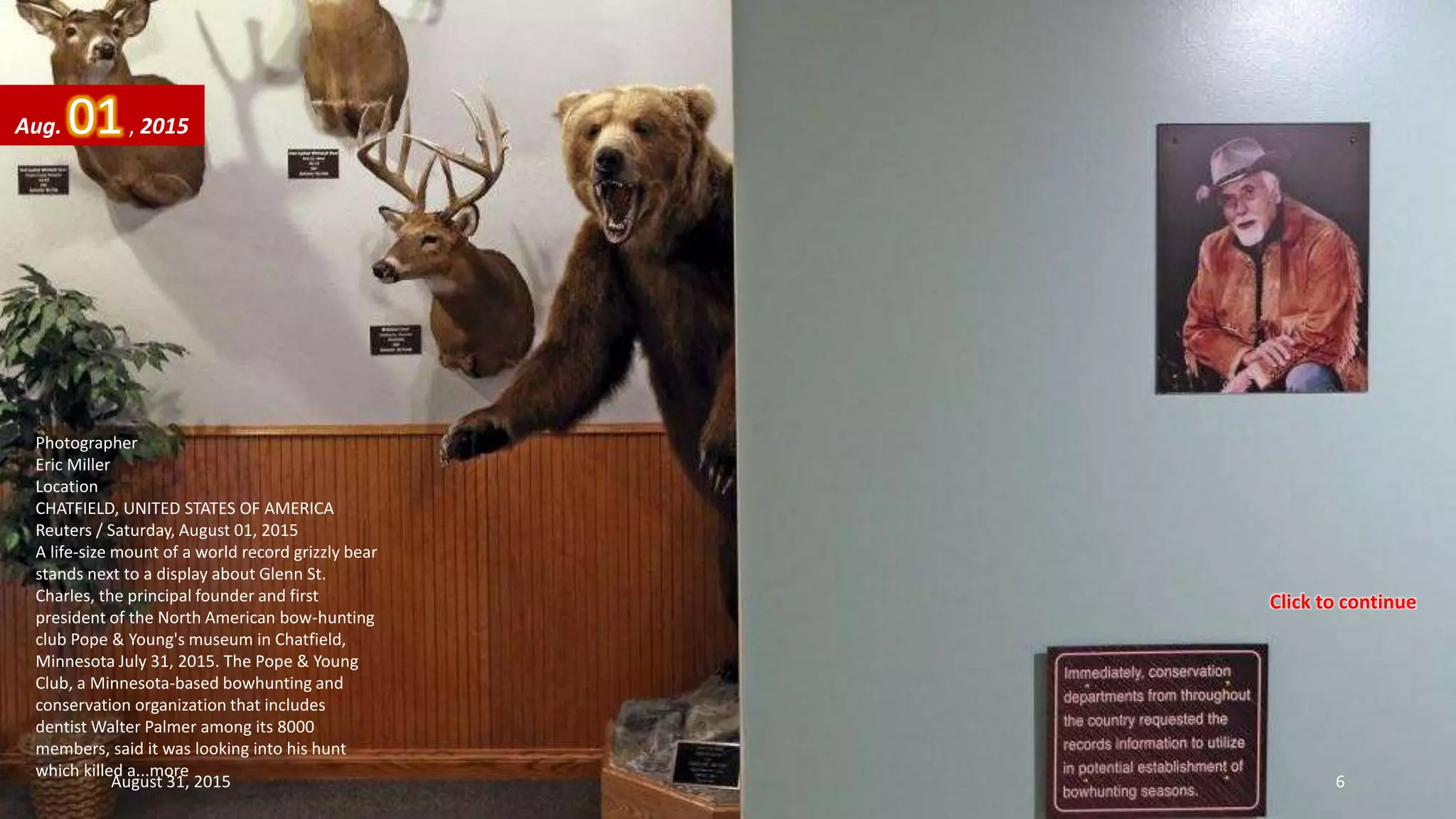 Photographer
Eric Miller
Location
CHATFIELD, UNITED STATES OF AMERICA
Reuters / Saturday, August 01, 2015
A life-size mount of a world record grizzly bear
stands next to a display about Glenn St.
Charles, the principal founder and first
president of the North American bow-hunting
club Pope & Young's museum in Chatfield,
Minnesota July 31, 2015. The Pope & Young
Club, a Minnesota-based bowhunting and
conservation organization that includes
dentist Walter Palmer among its 8000
members, said it was looking into his hunt
which killed a...more
Aug. 01, 2015
August 31, 2015 6
Click to continue
 